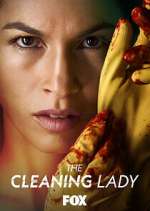 Watch Vodly The Cleaning Lady Online