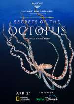 Secrets of the Octopus vodly