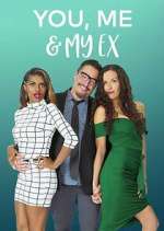 you, me & my ex tv poster