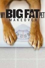 Watch My Big Fat Pet Makeover Vodly
