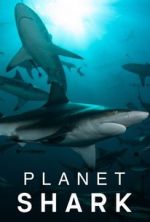 Watch Vodly Planet Shark Online