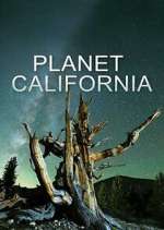 Watch Vodly Planet California Online
