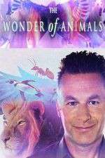 Watch The Wonder of Animals Vodly