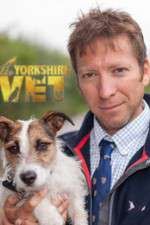 Watch Vodly The Yorkshire Vet Online