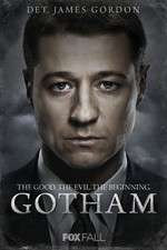Watch Vodly Gotham Online