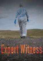 Watch Vodly Expert Witness Online