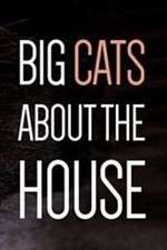 Watch Big Cats About the House Vodly