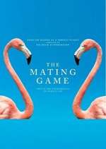 Watch Vodly The Mating Game Online