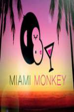 Watch Miami Monkey Vodly