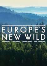 Watch Vodly Europe's New Wild Online