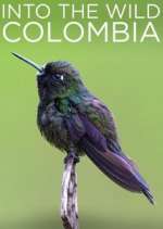 Watch Vodly Into the Wild Colombia Online