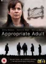 Watch Vodly Appropriate Adult Online