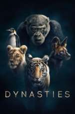 Watch Dynasties Vodly