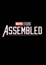 Watch Vodly Marvel Studios: Assembled Online
