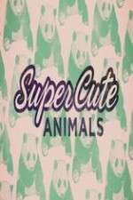 Watch Super Cute Animals Vodly