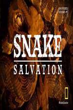 Watch Snake Salvation Vodly
