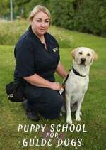 Watch Vodly Puppy School for Guide Dogs Online