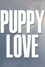 Watch Vodly Puppy Love Online