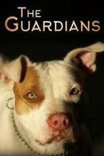 Watch Vodly The Guardians Online
