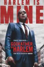 Watch Vodly Godfather of Harlem Online