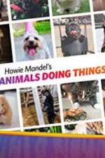 Watch Howie Mandel\'s Animals Doing Things Vodly
