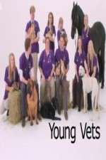 young vets tv poster