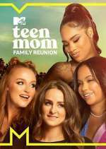 teen mom family reunion tv poster