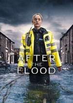 Watch Vodly After the Flood Online