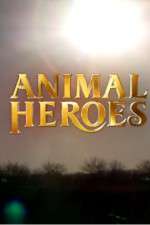Watch Animal Heroes Vodly
