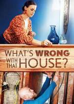 Watch Vodly What's Wrong With That House? Online