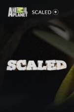 Watch Scaled Vodly