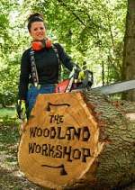 Watch Vodly The Woodland Workshop Online