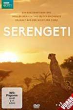 Watch Serengeti Vodly