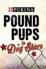Watch Vodly Purina Pound Pups To Dog Stars Online