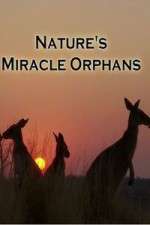 nature's miracle orphans tv poster