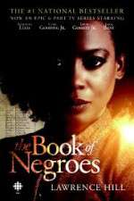 Watch Vodly The Book of Negroes Online