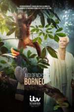 Watch Judi Dench\'s Wild Borneo Adventure Vodly