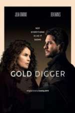 gold digger tv poster