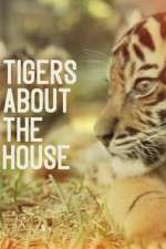 Watch Tigers About the House Vodly