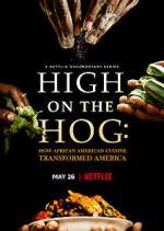 Watch Vodly High on the Hog: How African American Cuisine Transformed America Online