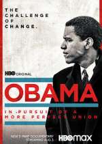Watch Vodly Obama: In Pursuit of a More Perfect Union Online