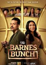 Watch Vodly The Barnes Bunch Online