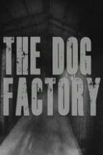 Watch The Dog Factory Vodly