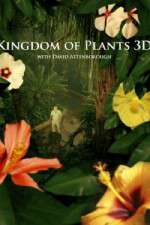 Watch Kingdom of Plants 3D Vodly