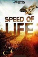 Watch Discovery Channel Speed Of Life Vodly