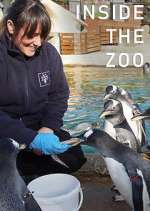 Watch Vodly Inside the Zoo Online