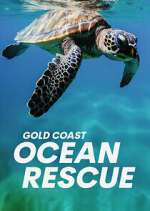 Watch Vodly Gold Coast Ocean Rescue Online
