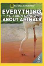 Watch Vodly Everything You Didnt Know About Animals Online
