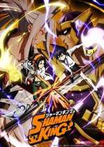 Watch Vodly Shaman King Online