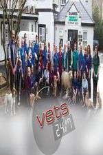 Watch Vodly Vets 24/7 Online